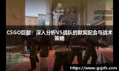 CSGO巨献：深入分析V5战队的默契配合与战术策略